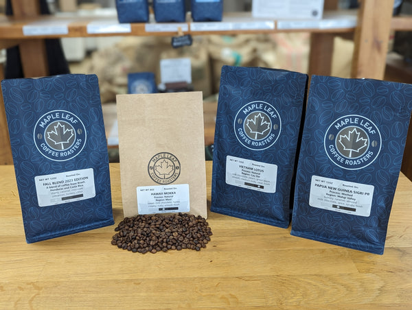 Treat Yourself Bundle