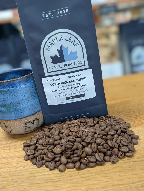 Costa Rica San Isidro Honey Processed - 2025 Edition | Direct Source (Medium Roast)