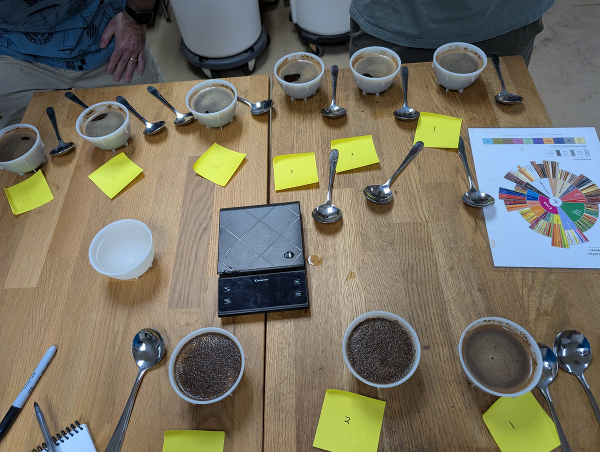 Coffee cupping session