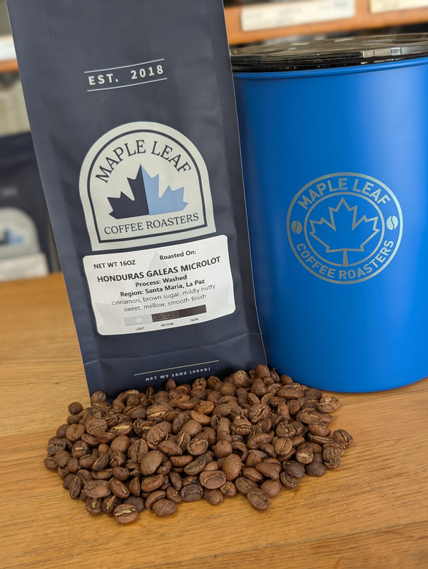 Honduras Galeas Family Women's Lot - 2025 Edition | Direct Source (Light Roast)