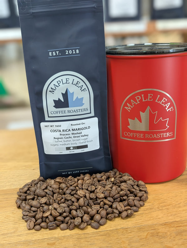 (Coming Soon) Costa Rica Marigold Washed Processed - 2025 Edition | Direct Source (Medium Roast)