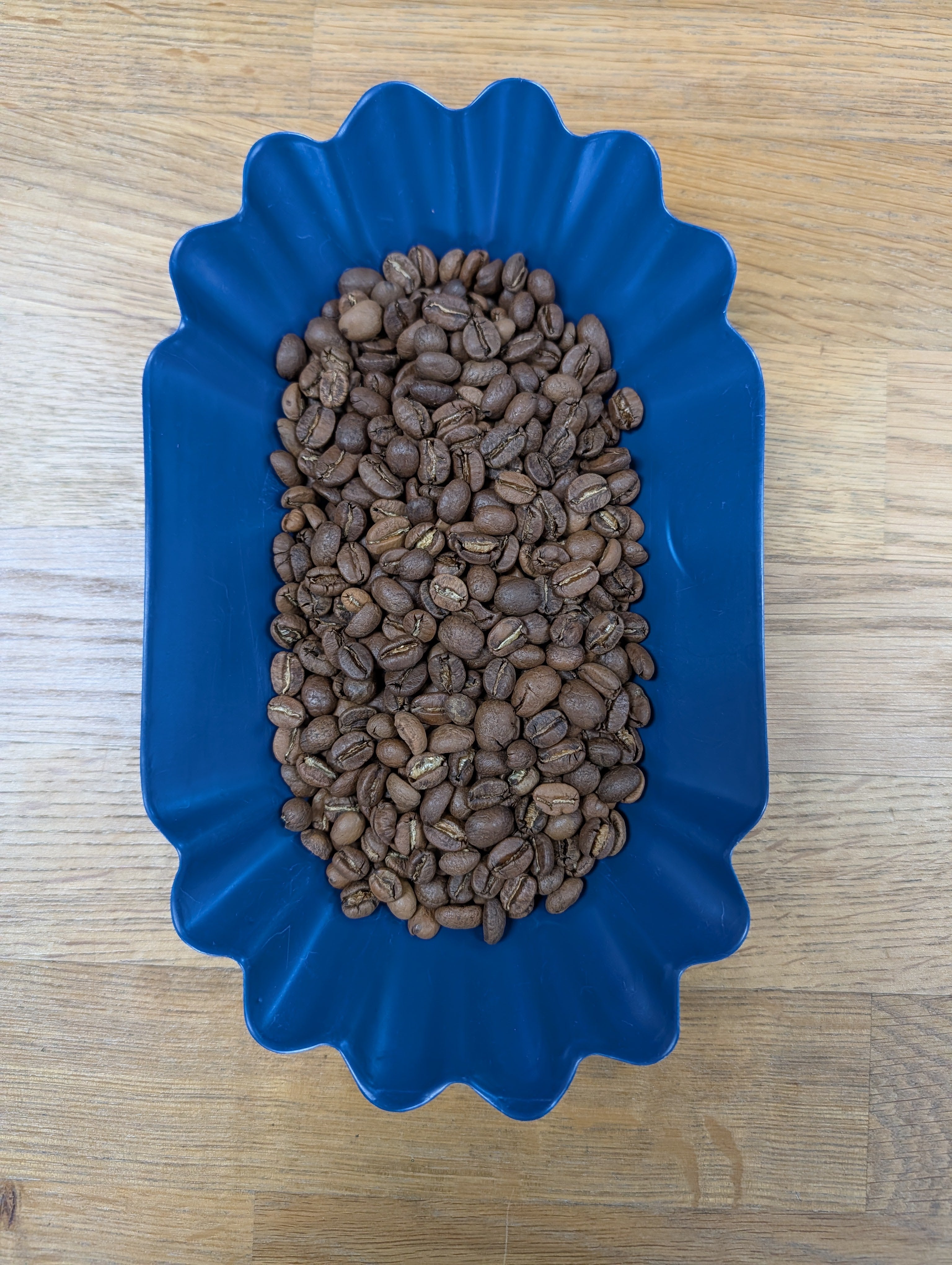 Spring Blend - 2026 Edition (Medium Roast)
