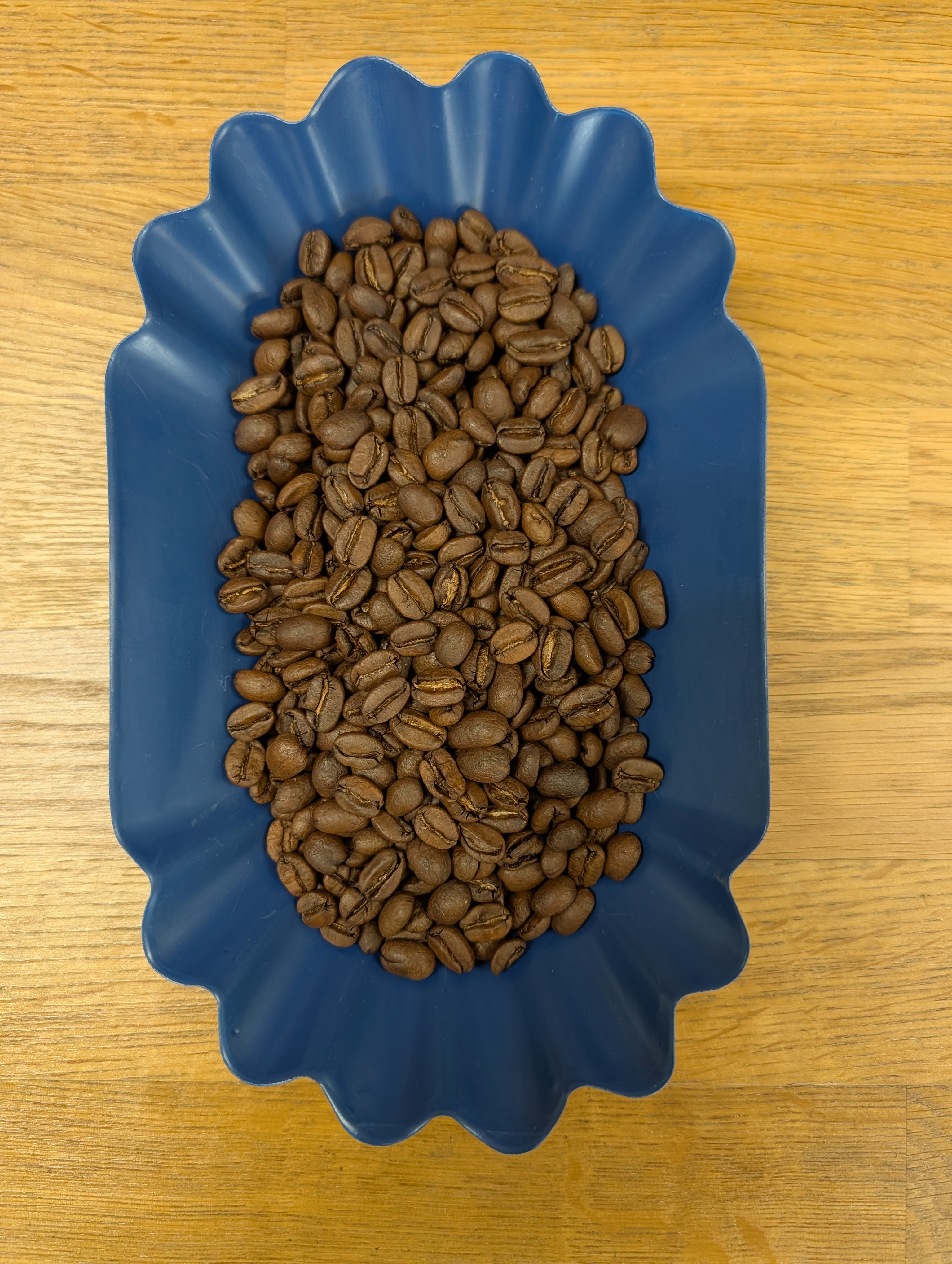 Costa Rica San Isidro Honey Processed - 2026 Edition | Direct Source (Medium Roast)