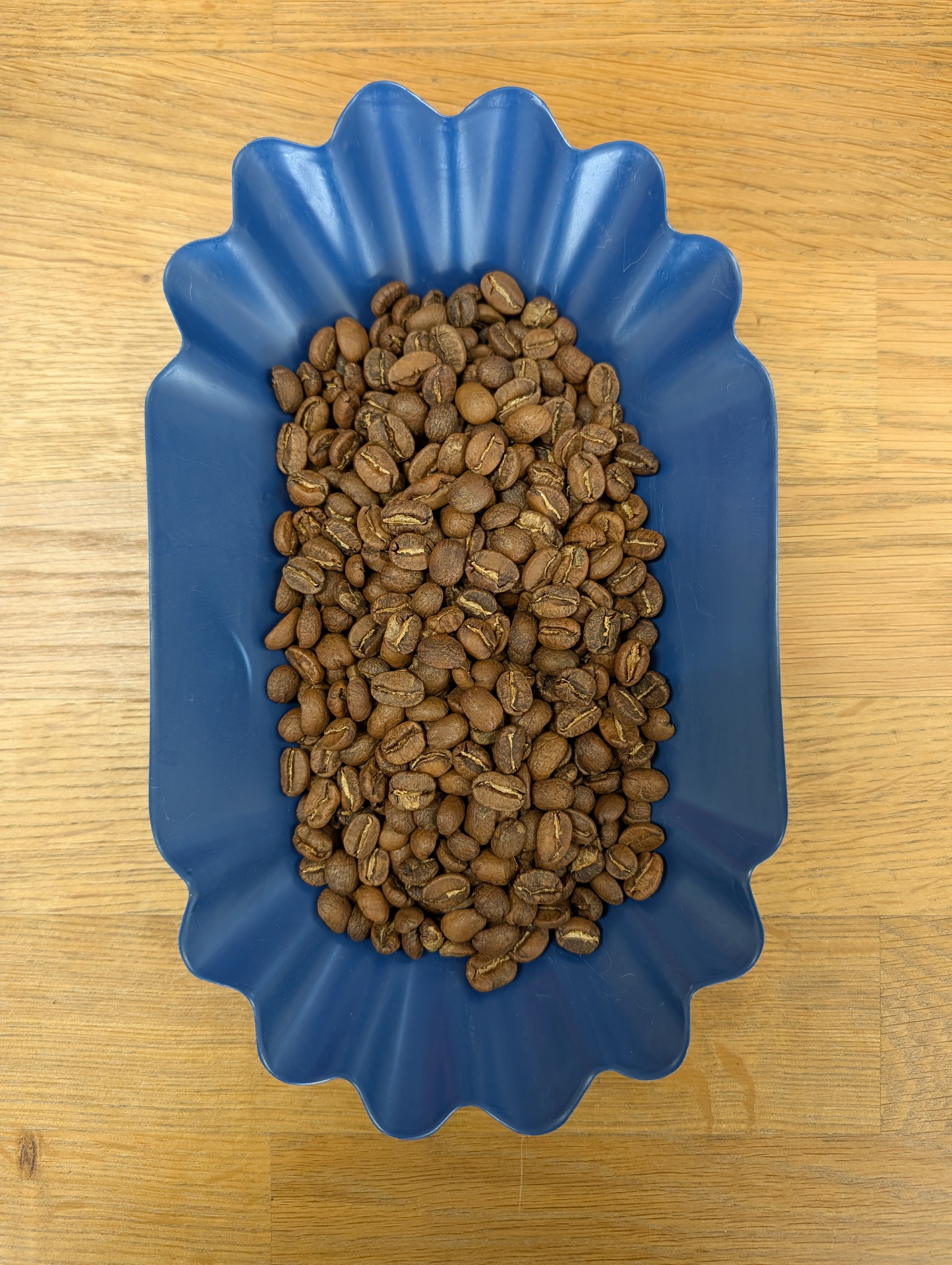 Honduras Medina Galeas - 2025 Edition | Direct Source (Light Roast)