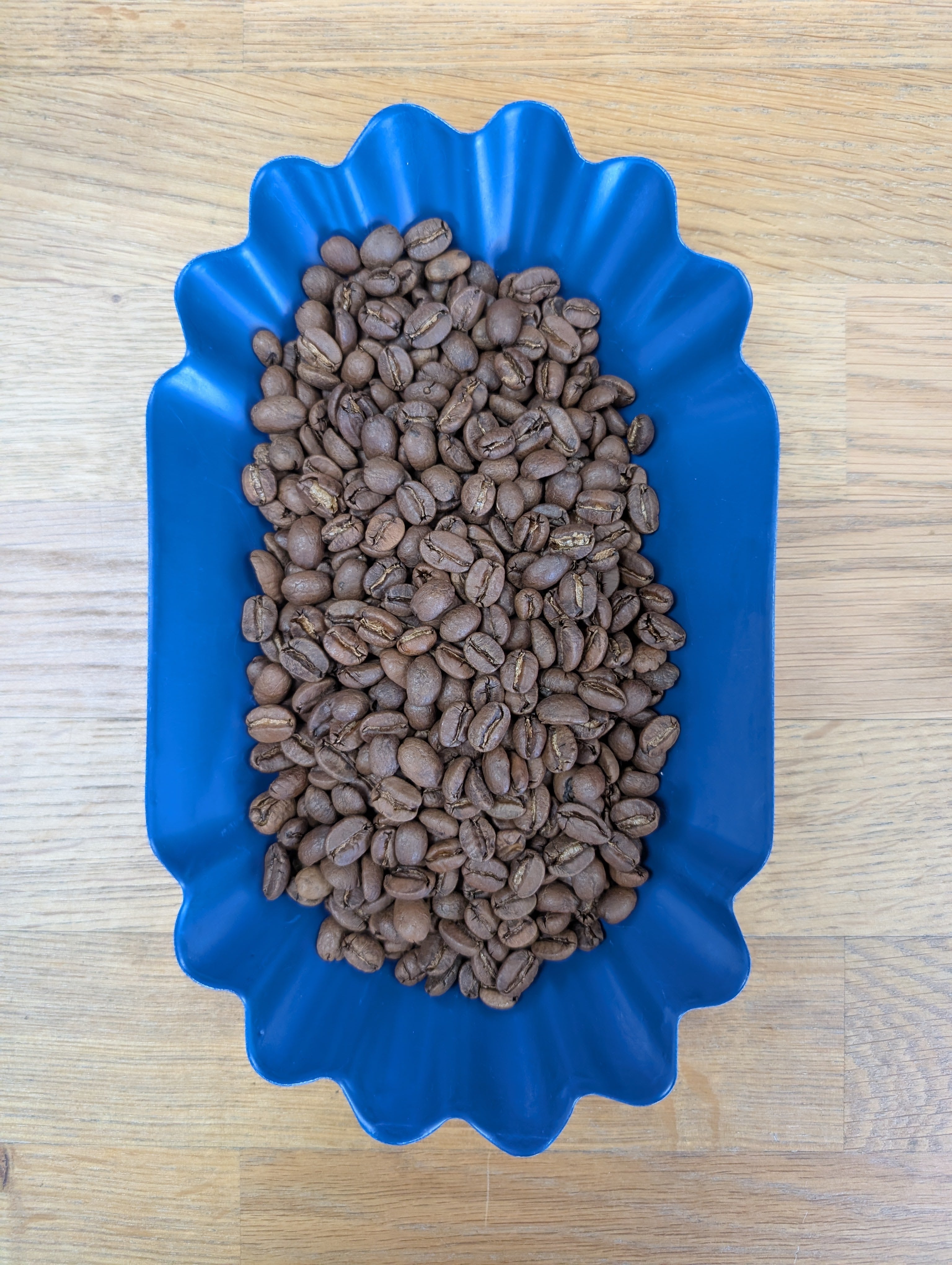 Mexico Chiapas Washed Processed (Medium Roast)