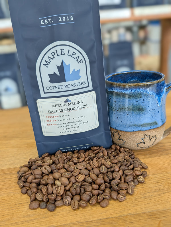 Honduras Medina Galeas - 2025 Edition | Direct Source (Light Roast)