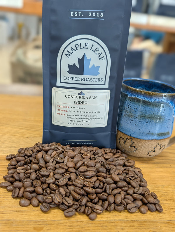 Costa Rica San Isidro Honey Processed - 2026 Edition | Direct Source (Medium Roast)